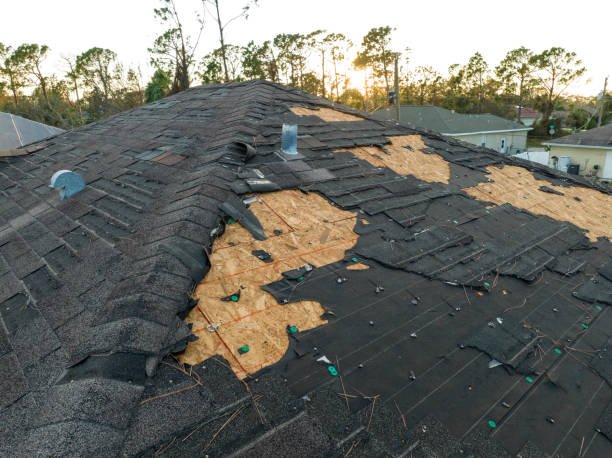 Best Metal Roofing Installation  in Diand, MO